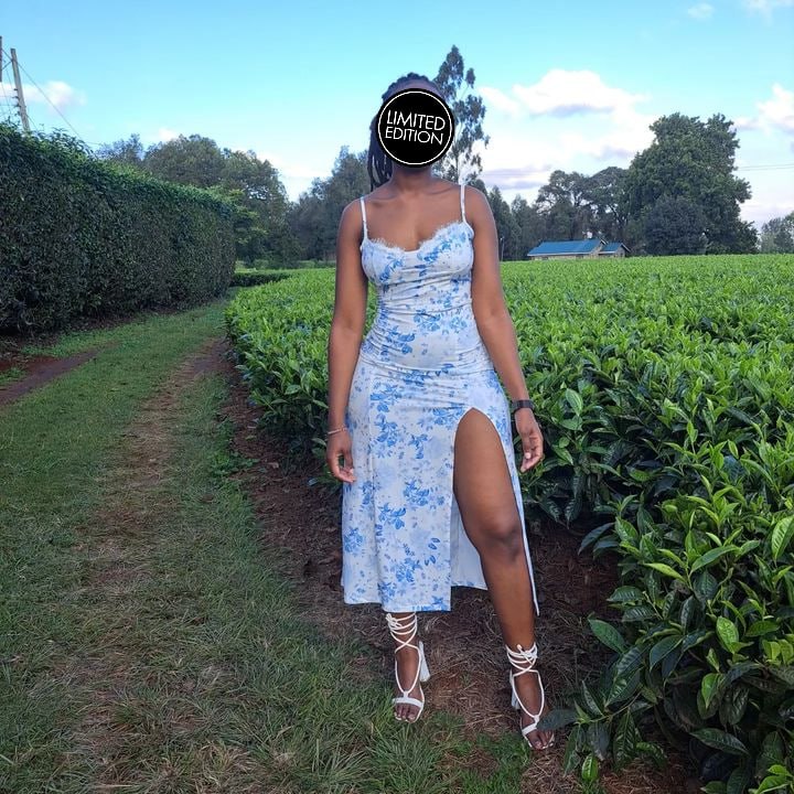 Lona